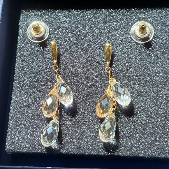 Swarovski Lagoon Pierced Earrings - Picture 2 of 5